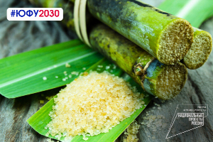 SFedU scientists have learned how to synthesize highly efficient electrocatalysts from sugar cane cake to produce clean energy